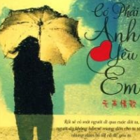 Có phải anh yêu em
