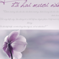 Yêu anh đã 20 năm