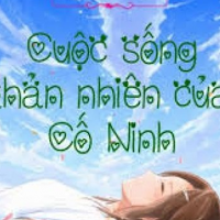 Cuộc Sống Thản Nhiên Của Cố Ninh