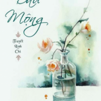 Dấu Mộng
